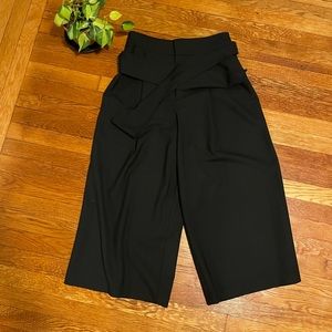Club Monaco culottes perfect condition!